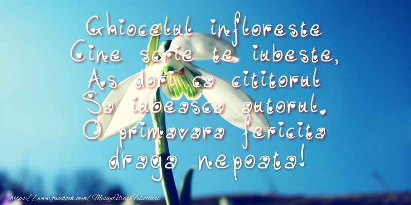 Felicitari de 1 Martie pentru Nepoata - Ghiocelul infloreste, Cine scrie te iubeste, As dori ca cititorul Sa iubeasca autorul. O primavara fericita draga nepoata!