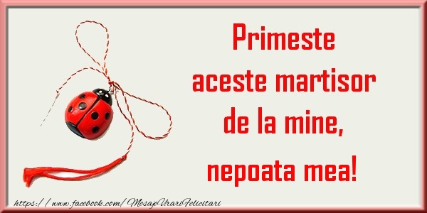 Felicitari de 1 Martie pentru Nepoata - Primeste aceste martisor de la mine, nepoata mea