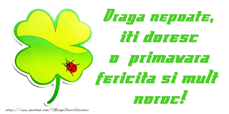 Felicitari de 1 Martie pentru Nepot - Draga nepoate iti doresc o primavara fericita si mult noroc!
