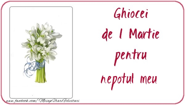 Felicitari de 1 Martie pentru Nepot - Ghiocei de 1 Martie pentru nepotul meu