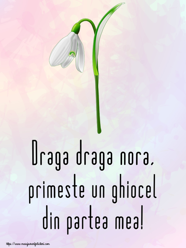 Felicitari de 1 Martie pentru Nora - Draga draga nora, primeste un ghiocel din partea mea!