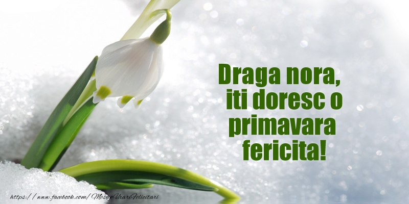Felicitari de 1 Martie pentru Nora - Draga nora, iti doresc o primavara fericita!