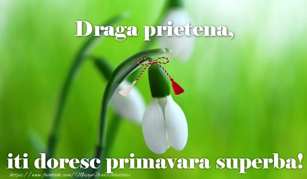Felicitari de 1 Martie pentru Prietena - Draga prietena iti doresc primavara superba!