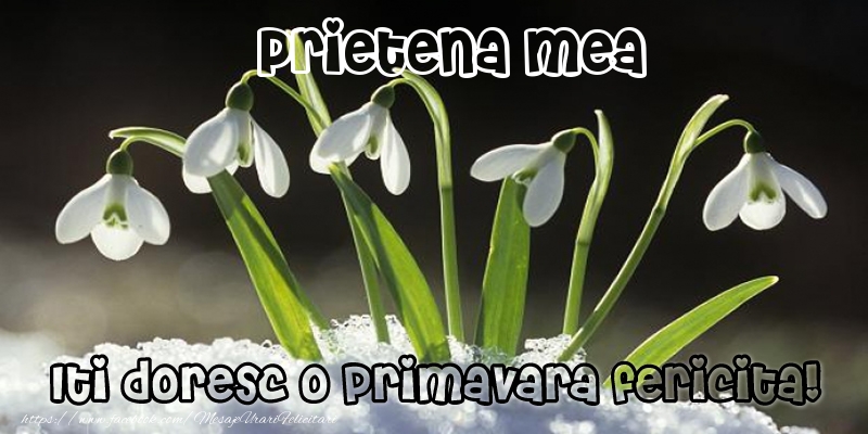 Felicitari de 1 Martie pentru Prietena - Prietena mea Iti doresc o primavara fericita!