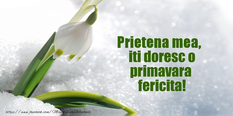 Felicitari de 1 Martie pentru Prietena - Prietena mea, iti doresc o primavara fericita!