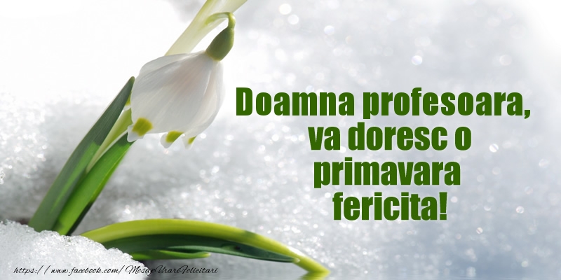 Felicitari de 1 Martie pentru Profesoara - Doamna profesoara, va doresc o primavara fericita!
