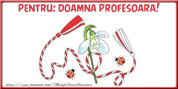 Felicitari de 1 Martie pentru Profesoara - Pentru doamna profesoara!