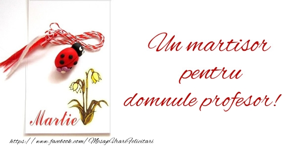 Felicitari de 1 Martie pentru Profesor - Un martisor pentru domnule profesor!