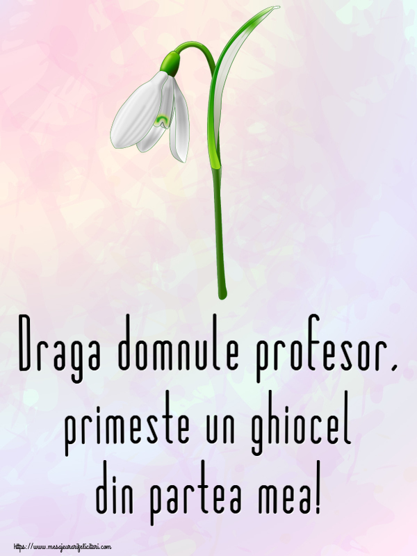 Felicitari de 1 Martie pentru Profesor - Draga domnule profesor, primeste un ghiocel din partea mea!
