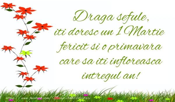Felicitari de 1 Martie pentru Sef - Draga sefule iti doresc un 1 Martie  fericit si o primavara care sa iti infloreasca intregul an!