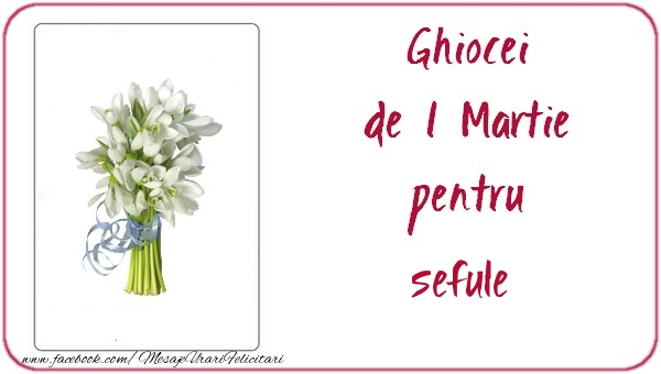 Felicitari de 1 Martie pentru Sef - Ghiocei de 1 Martie pentru sefule