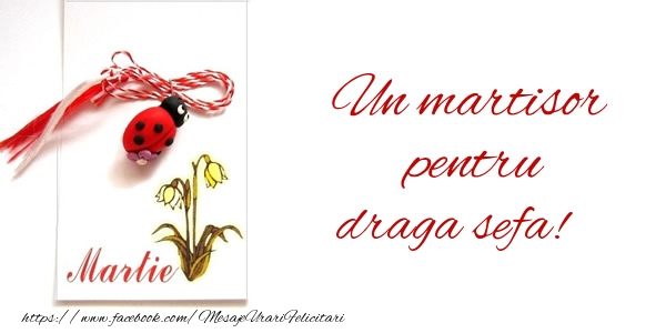 Felicitari de 1 Martie pentru Sefa - Un martisor pentru draga sefa!