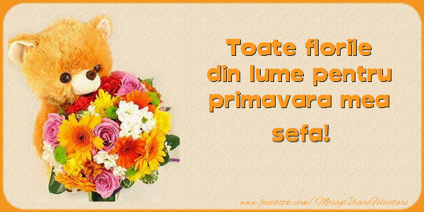 Felicitari de 1 Martie pentru Sefa - Toate florile din lume pentru primavara mea! sefa