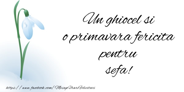 Felicitari de 1 Martie pentru Sefa - Un ghiocel si o primavara fericita pentru sefa!