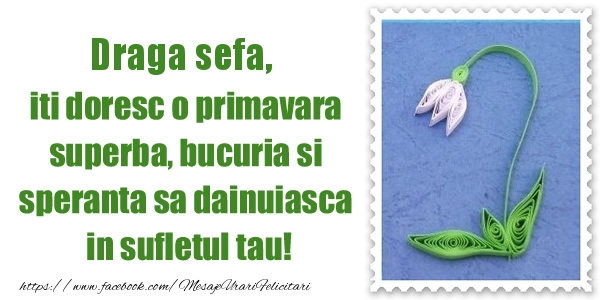 Felicitari de 1 Martie pentru Sefa - Draga sefa iti doresc o primavara superba, bucuria si  speranta sa dainuiasca in sufletul tau!