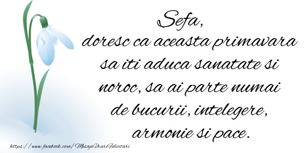 Felicitari de 1 Martie pentru Sefa - Sefa doresc ca aceasta primavara sa iti aduca sanatate si noroc ...