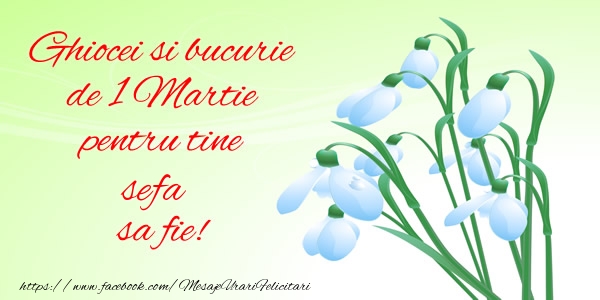 Felicitari de 1 Martie pentru Sefa - Ghiocei si bucurie de 1 Martie pentru tine sefa sa fie!