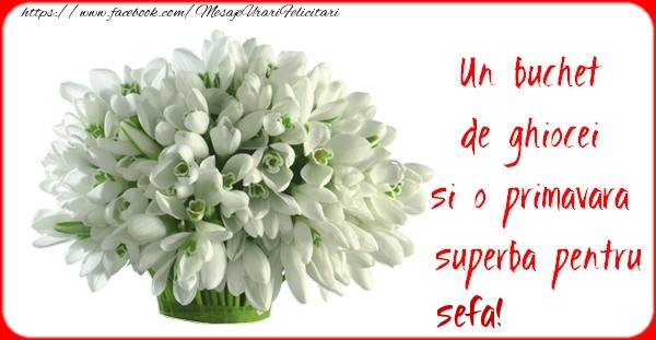 Felicitari de 1 Martie pentru Sefa - Un buchet de ghiocei si o primavara superba pentru sefa
