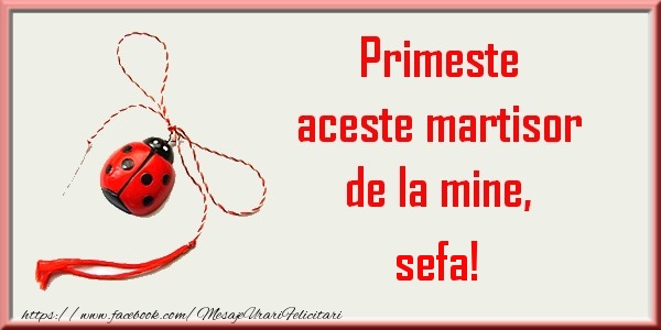 Felicitari de 1 Martie pentru Sefa - Primeste aceste martisor de la mine, sefa