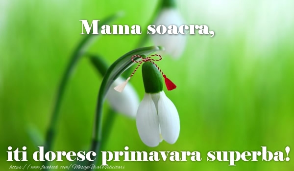 Felicitari de 1 Martie pentru Soacra - Mama soacra iti doresc primavara superba!