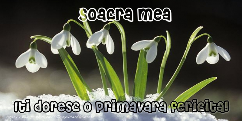 Felicitari de 1 Martie pentru Soacra - Soacra mea Iti doresc o primavara fericita!