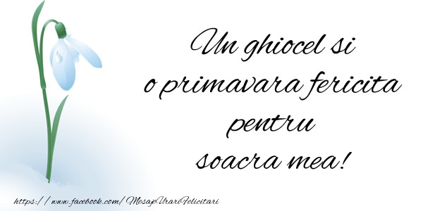 Felicitari de 1 Martie pentru Soacra - Un ghiocel si o primavara fericita pentru soacra mea!