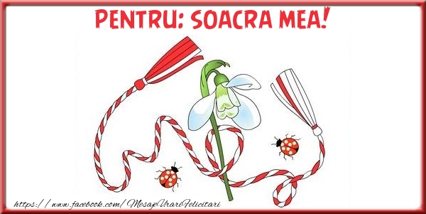 Felicitari de 1 Martie pentru Soacra - Pentru soacra mea!