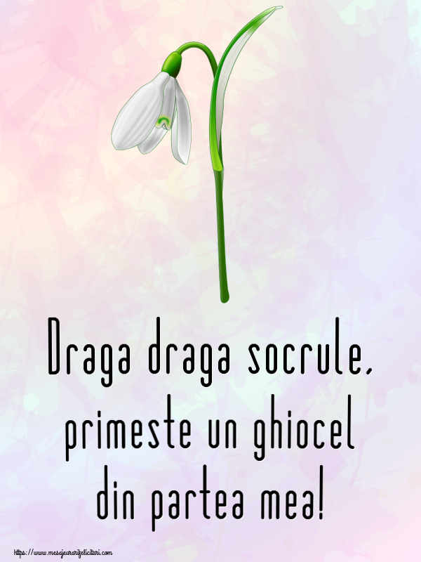 Felicitari de 1 Martie pentru Socru - Draga draga socrule, primeste un ghiocel din partea mea!