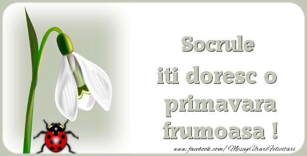 Felicitari de 1 Martie pentru Socru - Socrule iti doresc o primavara frumoasa