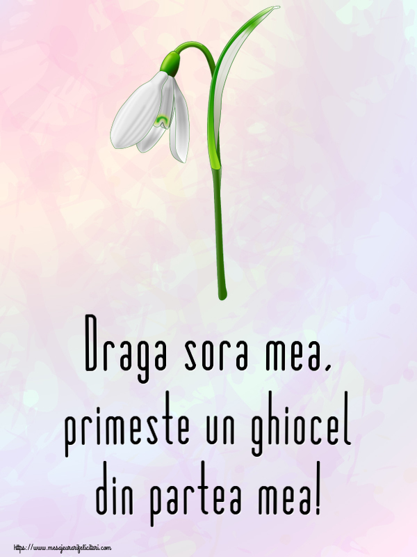 Felicitari de 1 Martie pentru Sora - Draga sora mea, primeste un ghiocel din partea mea!