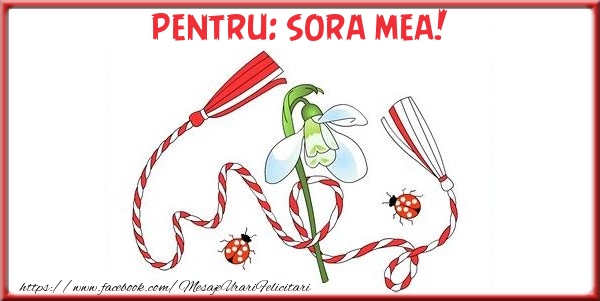 Felicitari de 1 Martie pentru Sora - Pentru sora mea!