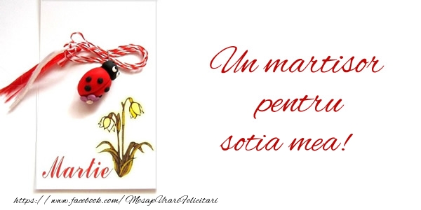 Felicitari de 1 Martie pentru Sotie - Un martisor pentru sotia mea!