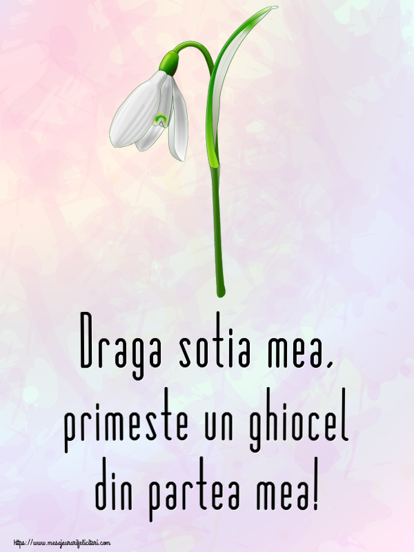 Felicitari de 1 Martie pentru Sotie - Draga sotia mea, primeste un ghiocel din partea mea!