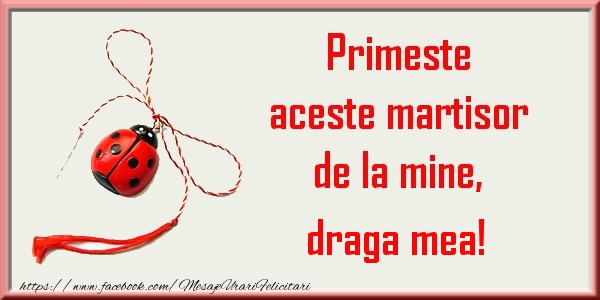 Felicitari de 1 Martie pentru Sotie - Primeste aceste martisor de la mine, draga mea