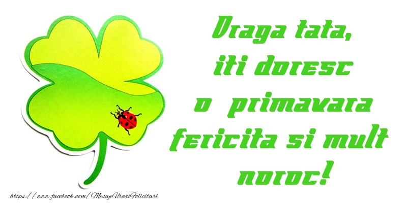 Felicitari de 1 Martie pentru Tata - Draga tata iti doresc o primavara fericita si mult noroc!