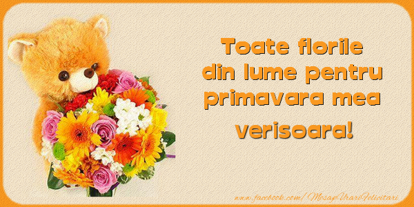 Felicitari de 1 Martie pentru Verisoara - Toate florile din lume pentru primavara mea! verisoara