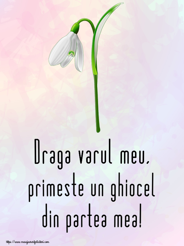 Felicitari de 1 Martie pentru Verisor - Draga varul meu, primeste un ghiocel din partea mea!