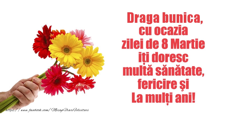 felicitare pentru bunica mea de 8 martie Draga bunica cu ocazia zilei de 8 Martie iti doresc multa sanatate, fericire si La multi ani!