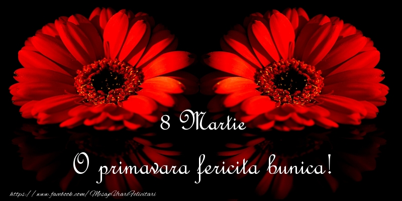 Felicitari de 8 Martie pentru Bunica - O primavara fericita bunica!