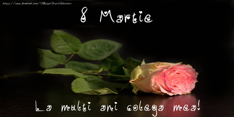 Felicitari de 8 Martie pentru Colega - 8 Martie La multi ani colega mea!