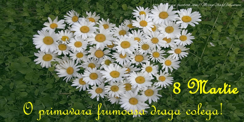 Felicitari de 8 Martie pentru Colega - O primavara frumoasa draga colega! 8 Martie
