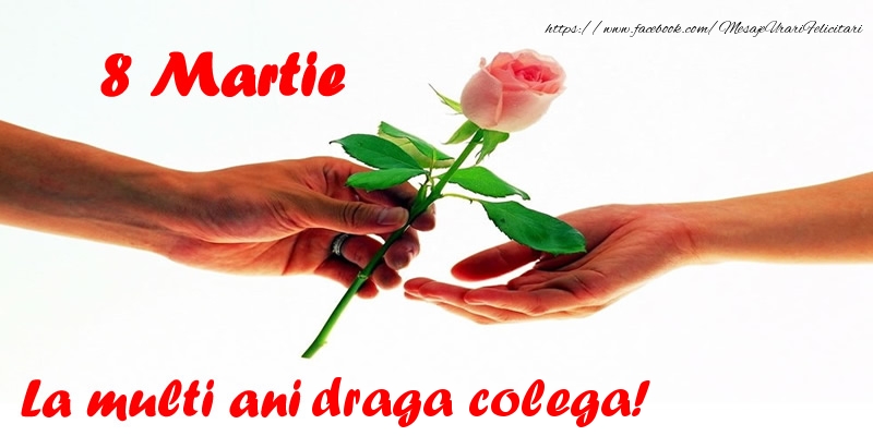 Felicitari de 8 Martie pentru Colega - 8 Martie La multi ani draga colega!