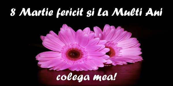 Felicitari de 8 Martie pentru Colega - 8 Martie fericit si La Multi Ani colega mea