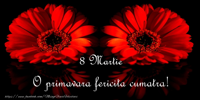 Felicitari de 8 Martie pentru Cumatra - O primavara fericita cumatra!