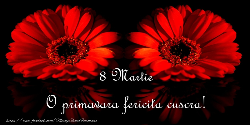 Felicitari de 8 Martie pentru Cuscra - O primavara fericita cuscra!