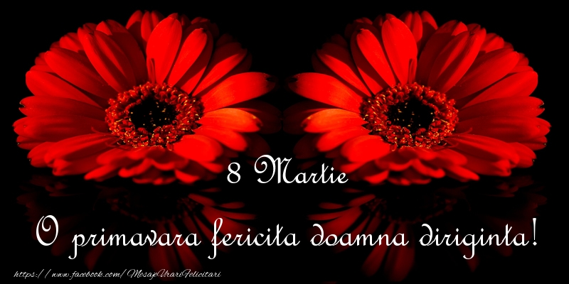 Felicitari de 8 Martie pentru Diriginta - O primavara fericita doamna diriginta!