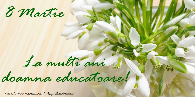 Felicitari de 8 Martie pentru Educatoare - 8 Martie La multi ani doamna educatoare!