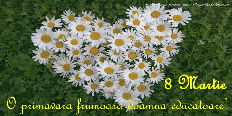 Felicitari de 8 Martie pentru Educatoare - O primavara frumoasa doamna educatoare! 8 Martie