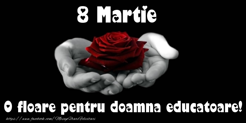 Felicitari de 8 Martie pentru Educatoare - 8 Martie O floare pentru doamna educatoare!