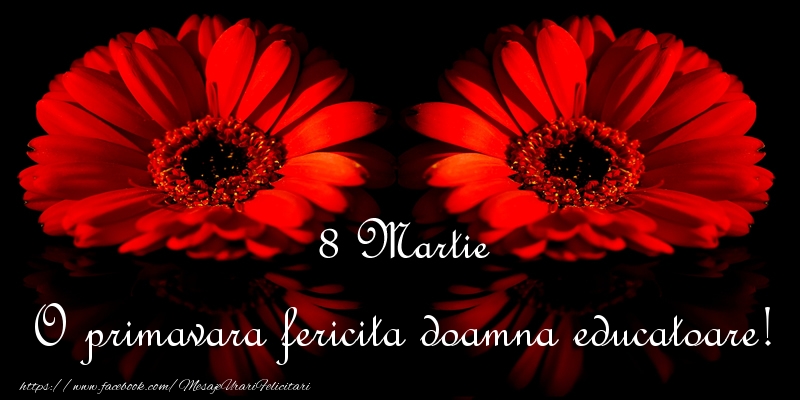Felicitari de 8 Martie pentru Educatoare - O primavara fericita doamna educatoare!